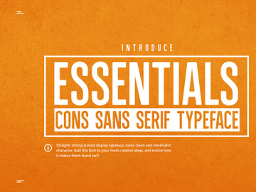 Essentials - Sans Serif Typeface preview picture