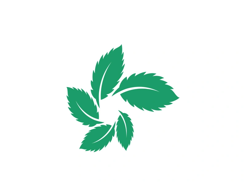 Mint Leaf icon template illustration