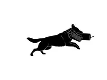 Dog silhouette running with a bite sleeve in mouth