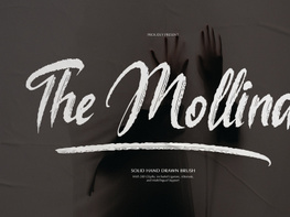 The Mollina | Solid Hand Drawn Brush preview picture