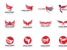 Wing Bird Falcon red logo vector