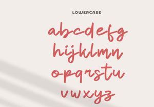 Dhel Fyn | Handwriting Script Font