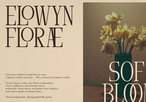 Arnnelo | Modern Display Serif