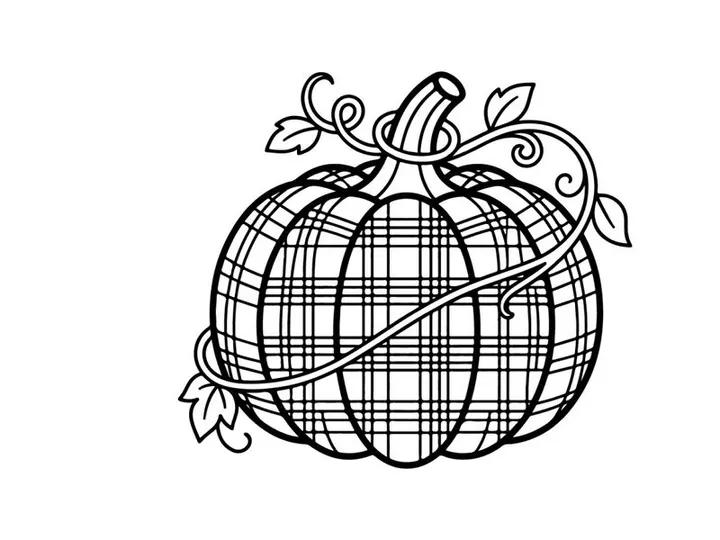 Plaid pumpkin line art illustration. Autumn harvest squash drawing with tartan pattern.