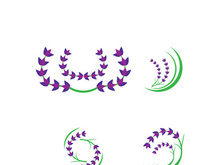 Fresh lavender flower logo vector flat design