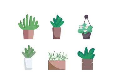 Houseplants flat color vector object set preview picture