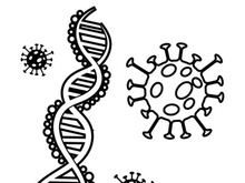Coronavirus covid-19 prohibition sign flat vector