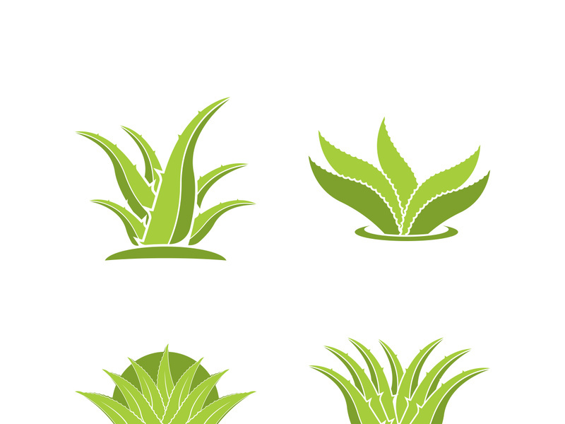 Aloe Vera logo icon design symbol beauty skin care