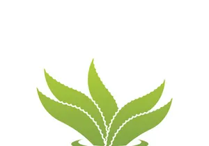 Aloe Vera logo icon design symbol beauty skin care