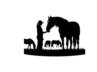 Silhouette of a woman feeding a horse in a field