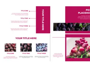 Olet Presentation Template