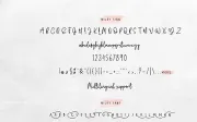 Wildy Sign Signature Font
