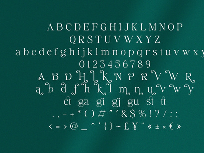 Himiline Modern Serif Typeface