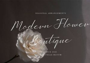 Sollutes Handy | Callighraphy Chic Font