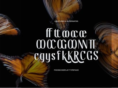 Focasio | Display Typeface