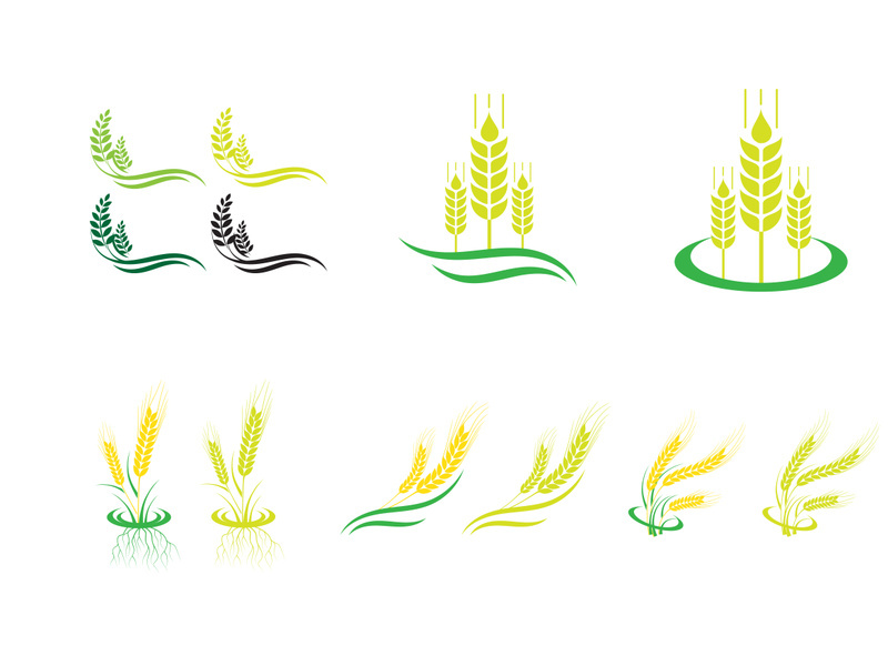 Wheat Ears Icon and Logo Set. For Identity Style of Natural Product Company and Farm Company.