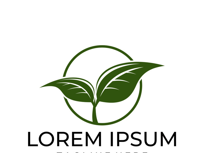 Green leaf logo design vector illustration