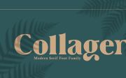 Collager - Modern Serif Family Font