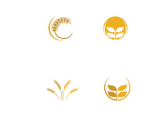 Wheat or cereal logo, wheat field and wheat farm logo.With easy and simple editing.