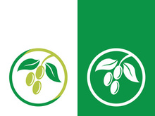 olive icon vector illustration design template