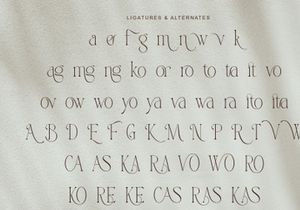 Bingkow modern display serif
