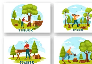 12 Timber Illustration