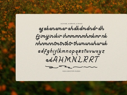 Softmark | Casual Handwritten Font