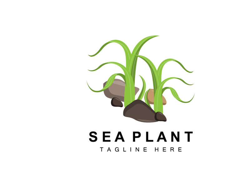 Seaweed Logo, Sea Plants Vector Design, Grocery And Nature Protection