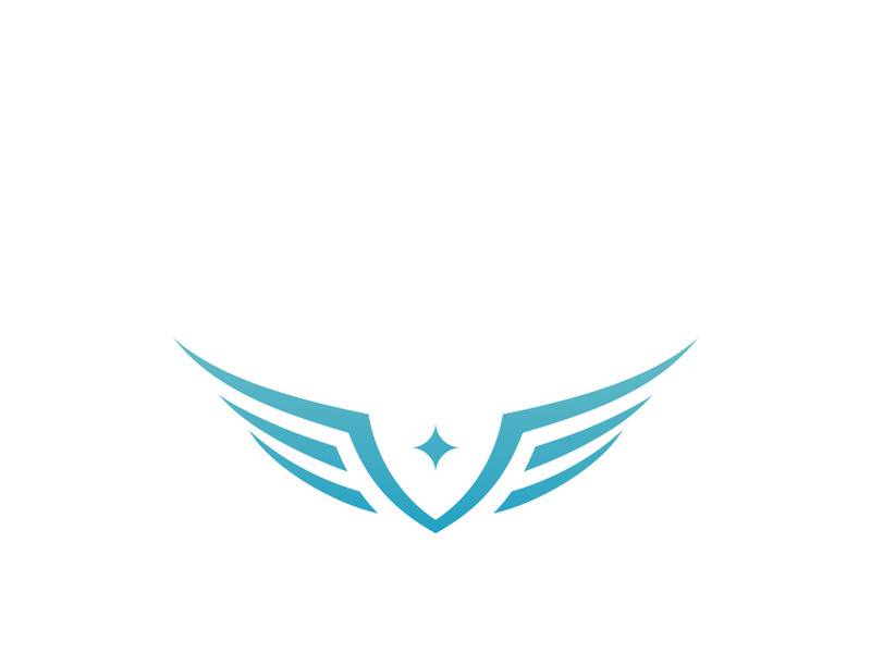 Falcon Wing  Vector Logo Icon Template