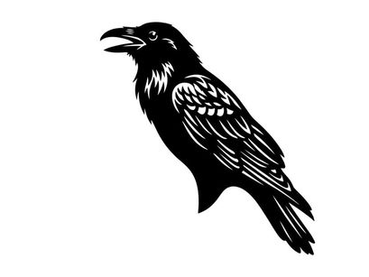 Black Crow Illustration for Nature and Wildlife Design