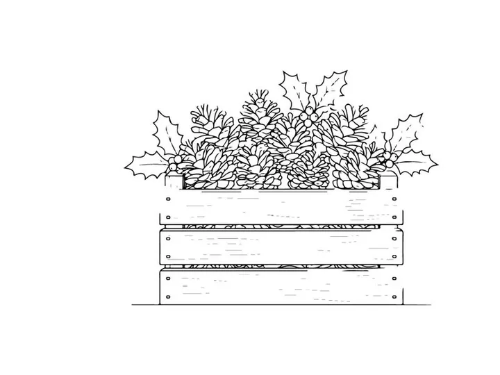 Christmas pine cones and holly leaves in a wooden crate line art illustration