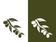 olive icon vector illustration design template