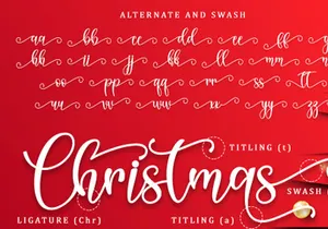 Chrstmas Nice