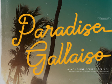 Paradise Gallaiso | Monoline Script Typeface preview picture
