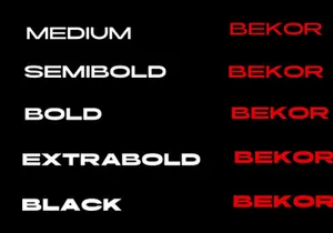 Bekor- Condensed Font Family