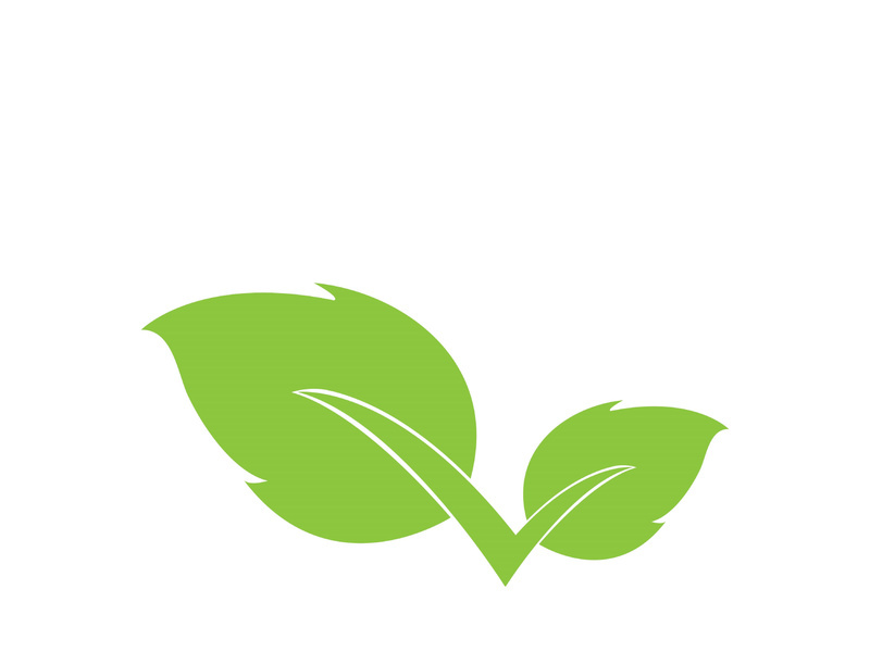 Leaf logo vector icon design template