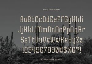 Archives Classic | Slab Serif Font