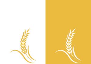 Wheat logo vector icon illustration design
