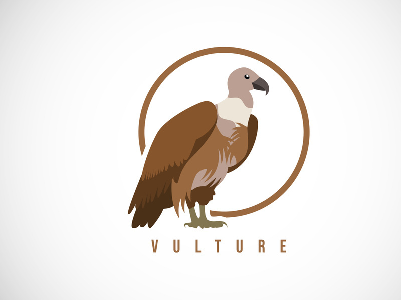 Vulture bird in a circle. Vulture bird logo design template vector illustration