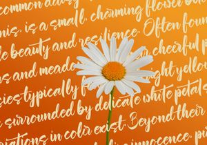 Garnite - Handwritten Script Font
