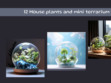 House plants and mini terrarium preview picture