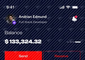 Wallet Banking App UI Kits