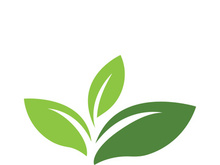 Logos of green tree leaf ecology nature element vector