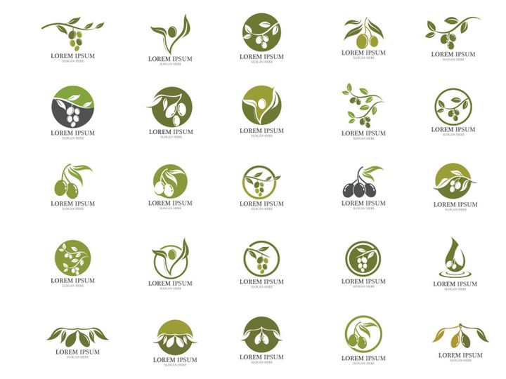 Olive oil logo vector