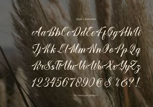 Larfioda | Elegant Script Font