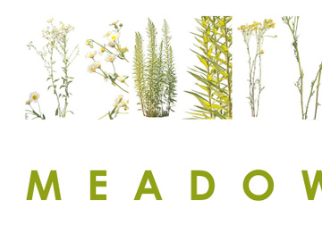 3 Meadow Plant Cutouts preview picture