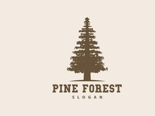 Forest Logo, Vector Forest Wood With Pine Trees Design
