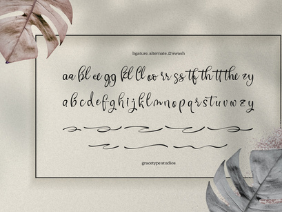 Cafricot Lissendra | Script Handwritten