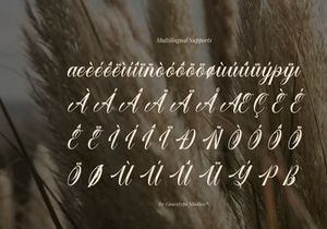 Larfioda | Elegant Script Font