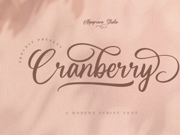 Cranberry - Modern Script Font preview picture